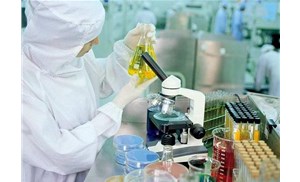 合肥食品檢測：轉基因食品有哪些檢測方法？